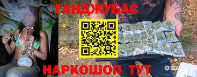 амф Гай