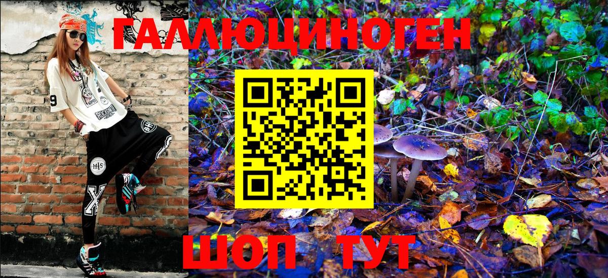 Псилоцибиновые грибы мухоморы Тара