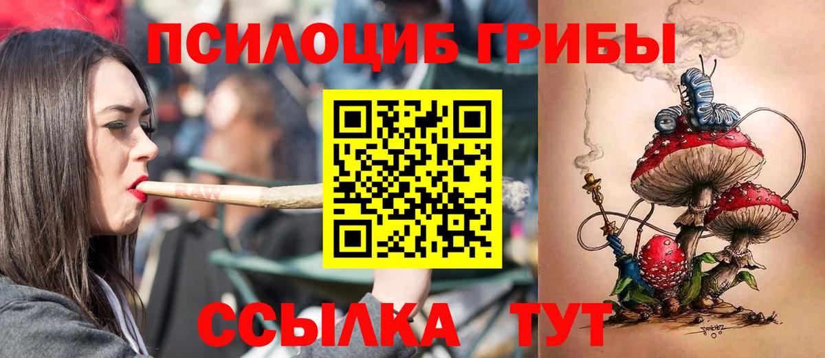 Галлюциногенные грибы Cubensis  Вход с VPN  Тара  купить наркотик  Галлюциногенные грибы прущие грибы 